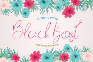 Black Kost: A Handmade Brush Font for Real-World Branding Projects