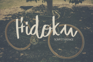 Hidoku Font: Elevate Your Brand with Retro-Modern Typography