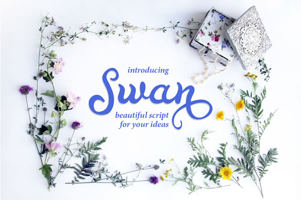 Swan Font: A Handwritten Typeface for Memorable Branding