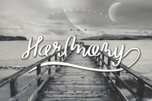 The Harmony Font: A Playful Typeface for Stronger Campaign Messaging