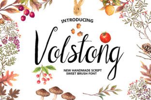 Volstong Font for Beautiful Website Typography